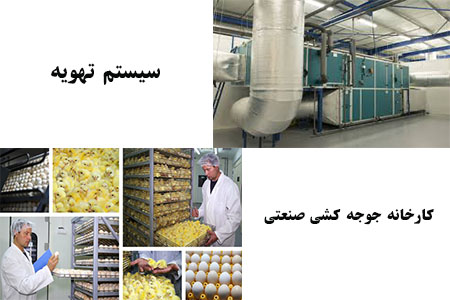 سیستم تهویه کارخانه جوجه کشی صنعتی